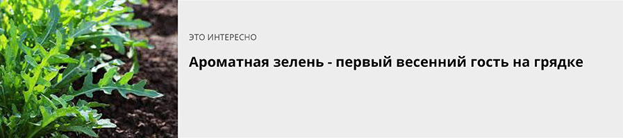 Ароматная зелень - первый весенний гость на грядке_НН.jpg